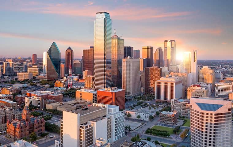 Dallas pest control makes city better