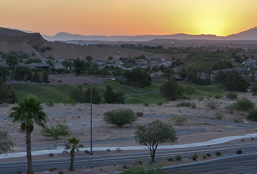 Peaceful image of the positive effects of pest control Mesquite NV